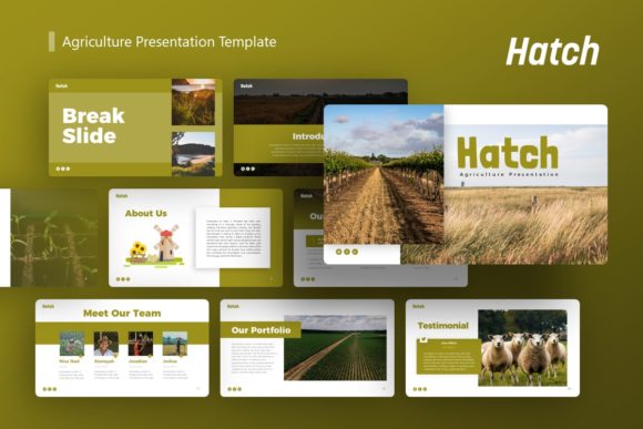 Hatch: A Versatile Template for Modern Agriculture Presentations