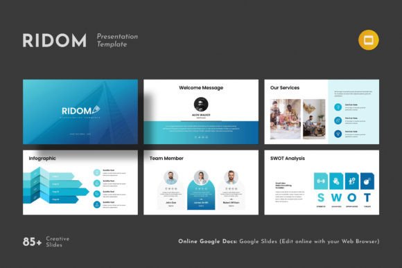 Professional Presentations Made Simple: The Ridom Google Slides Template